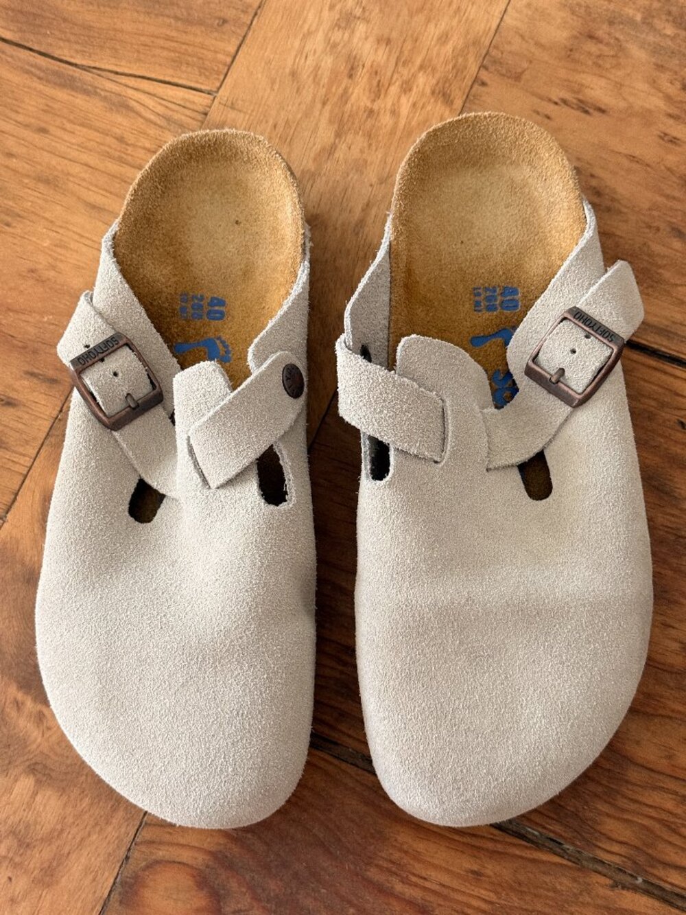 SOFTYOHO SUEDE SLIP ON CLOGS w/ BRONZE BUCKLE